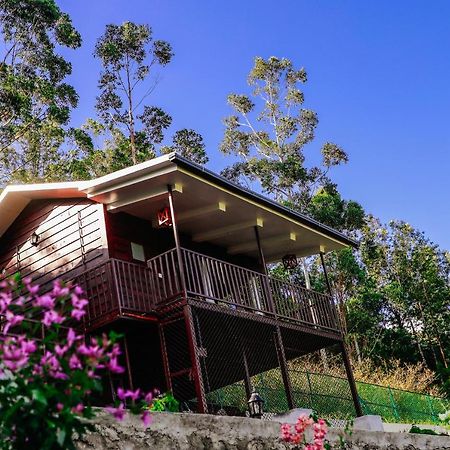 Wild Orchid Eco Tourism Муннар Екстер'єр фото